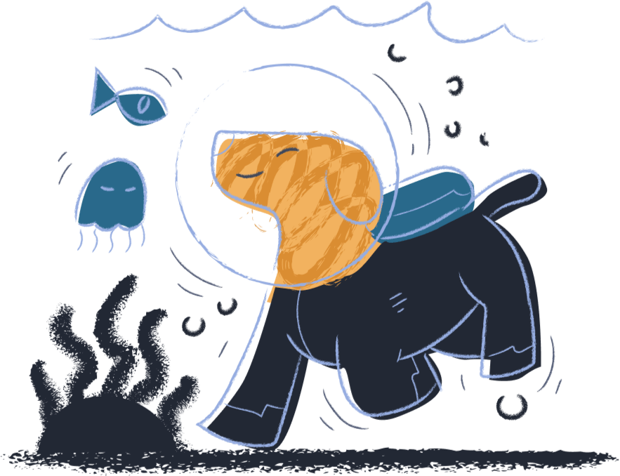 Desarrollo de apps mobile iOS y Android — Igno Software